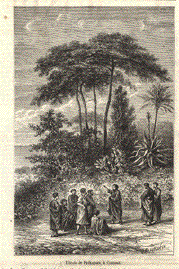 Pythagorus