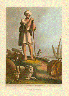 An Egyptian Herdsman