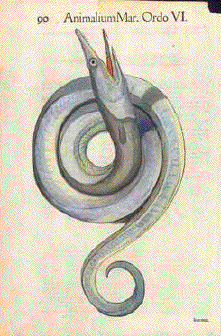 Marine Serpent Gessner
