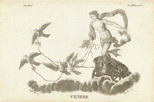 Venere