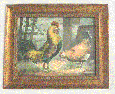 Hahn und Henne - Cock and hen - Coq et Poule - Haan en Hen - Gallo e gallina