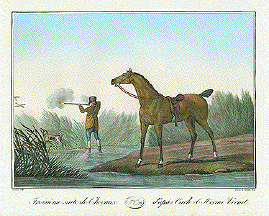 Troisieme suite de Chevaux d'apres Carle & Horace Vernet