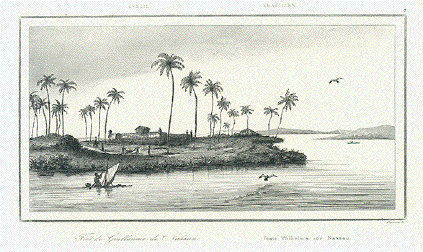 Brazil - Fort de Guillaume de Nassau Feste Wilhelm's vn Nassau 