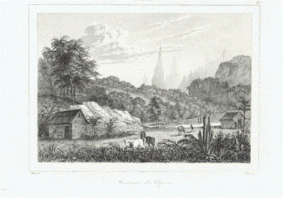 Antique Prints of Brazil