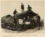 Real Estate office in Vancouver, After the Great Fire of June 13th, 1886