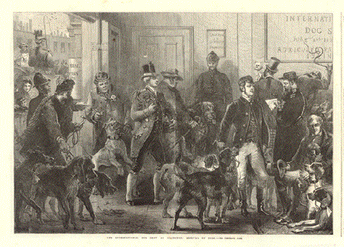 The International Dog show at Islington