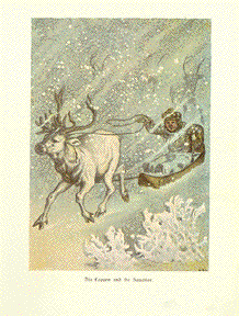 Lappland Raindeer