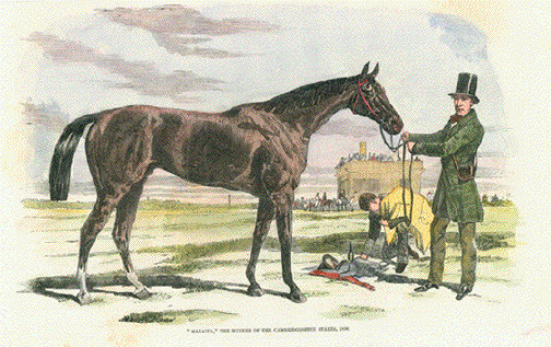 Winner of the Cambridgeshire Stakes