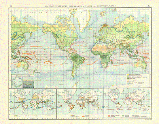 Vegetation   Ocean Currents