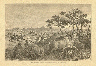 Baris Stealing Cattle From The Garrison at Gondokoro