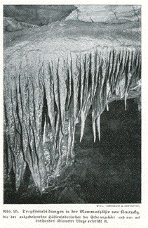 Mammoth Caves Kentucky