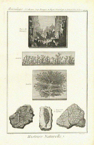 Pierre de Florence, Dendrite, Empreinte de Vegeteux