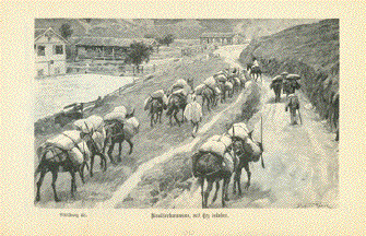 Mule caravan loaded with ore in Argentina